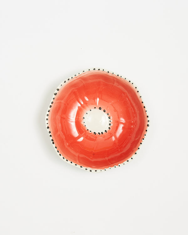 The colorful poppy dish
